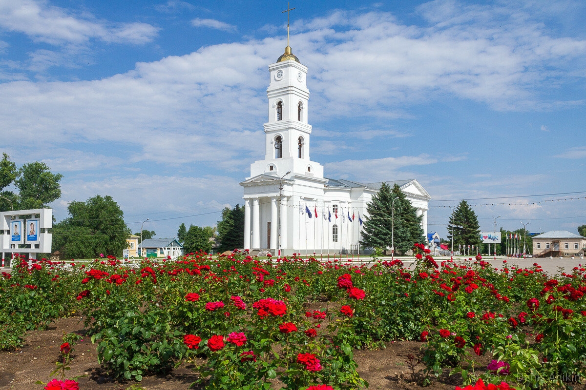 МинивэнGO - Заказ минивэна и микроавтобуса из Аэропорта Сочи в Маркс